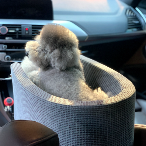 Console Dog Car Seat